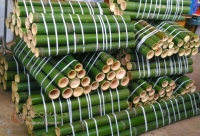 bambu - bambù - bamboo -12