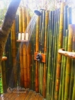 bambù - canne di bambù - bambu - bamboo -  DOCCIA