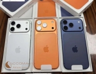 1iPhone (1)